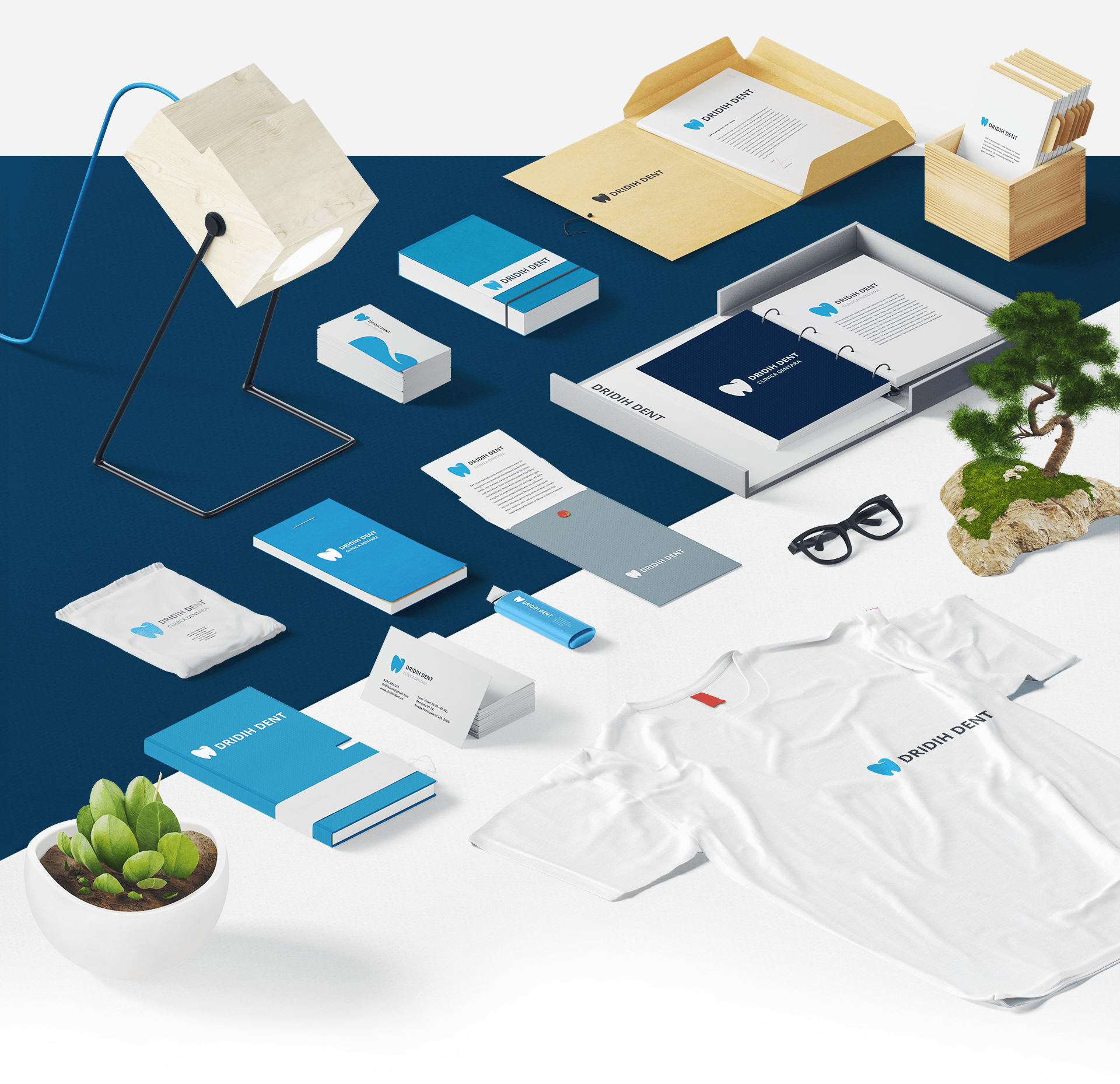 dridih branding materials